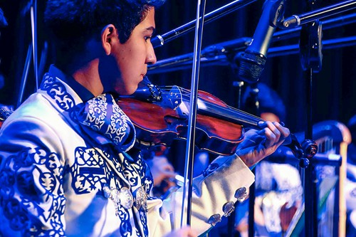 Middle School Fine Arts Banner Image