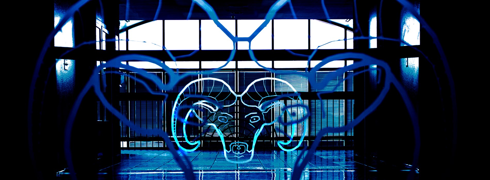 Administrative Regulations & Exhibits Banner Image